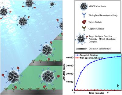 Detection of Influenza a Virus in Swine Nasal Swab Samples With a Wash-Free Magnetic Bioassay and a Handheld Giant Magnetoresistance Sensing System